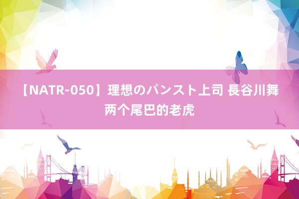 【NATR-050】理想のパンスト上司 長谷川舞 两个尾巴的老虎