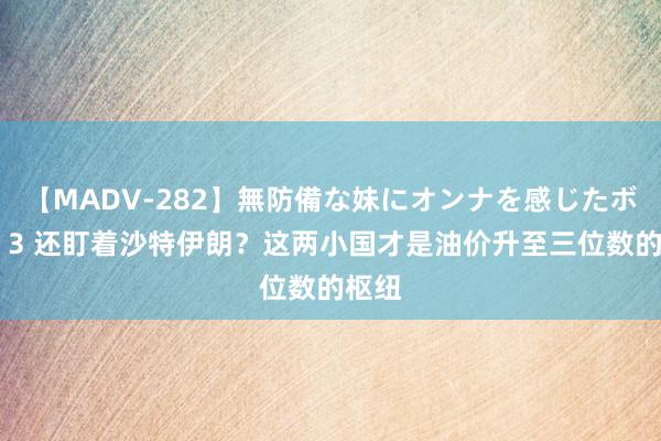 【MADV-282】無防備な妹にオンナを感じたボク。 3 还盯着沙特伊朗？这两小国才是油价升至三位数的枢纽