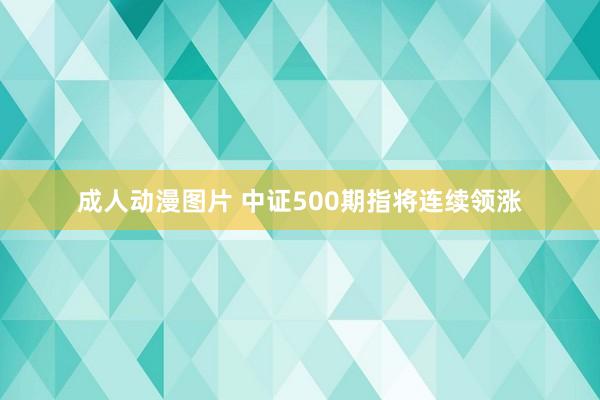 成人动漫图片 中证500期指将连续领涨