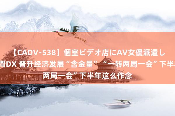 【CADV-538】個室ビデオ店にAV女優派遣します。8時間DX 晋升经济发展“含金量” “一转两局一会”下半年这么作念