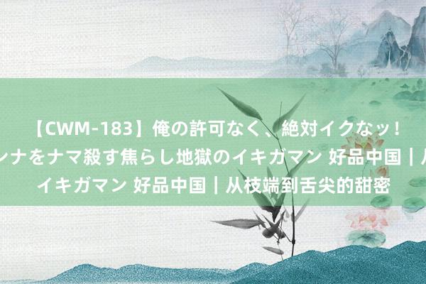 【CWM-183】俺の許可なく、絶対イクなッ！！！！！ 2 早漏オンナをナマ殺す焦らし地獄のイキガマン 好品中国｜从枝端到舌尖的甜密