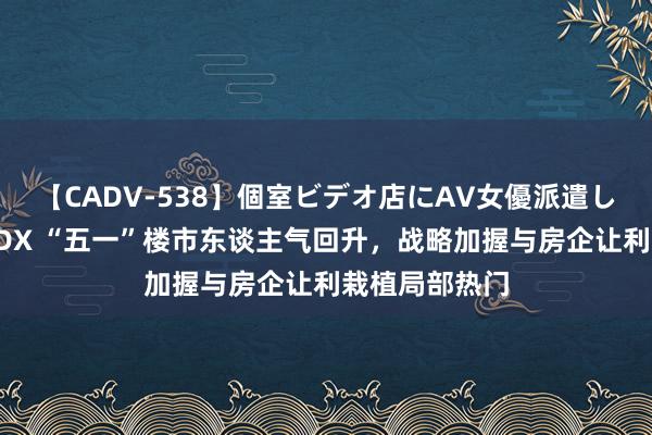 【CADV-538】個室ビデオ店にAV女優派遣します。8時間DX “五一”楼市东谈主气回升，战略加握与房企让利栽植局部热门