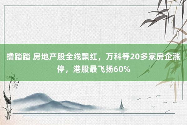 撸踏踏 房地产股全线飘红，万科等20多家房企涨停，港股最飞扬60%