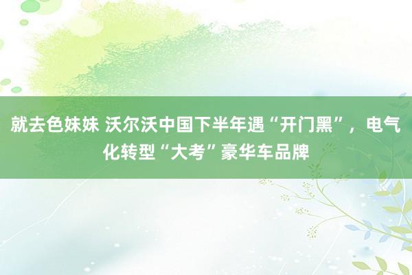 就去色妹妹 沃尔沃中国下半年遇“开门黑”，电气化转型“大考”豪华车品牌