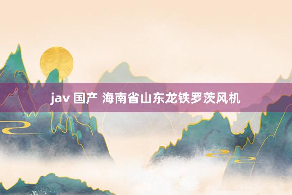 jav 国产 海南省山东龙铁罗茨风机