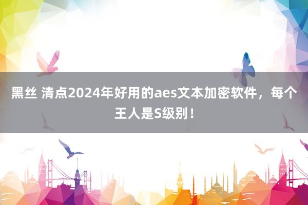 黑丝 清点2024年好用的aes文本加密软件，每个王人是S级别！