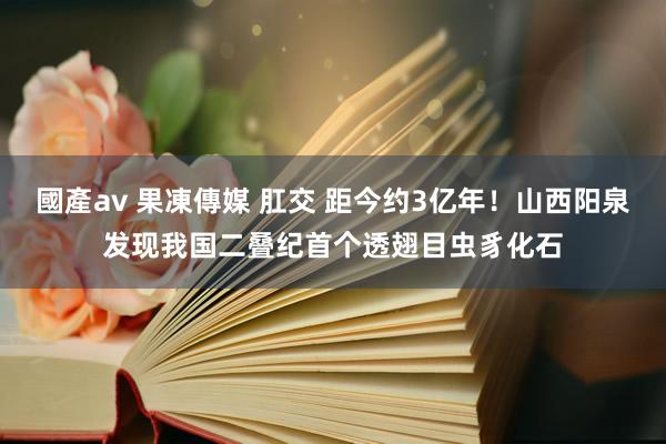 國產av 果凍傳媒 肛交 距今约3亿年！山西阳泉发现我国二叠纪首个透翅目虫豸化石