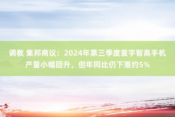 调教 集邦商议：2024年第三季度寰宇智高手机产量小幅回升，但年同比仍下落约5%