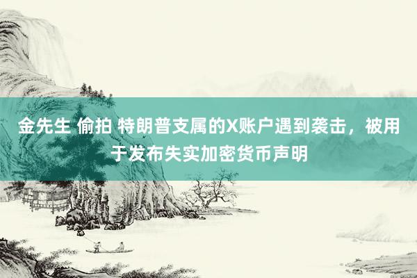 金先生 偷拍 特朗普支属的X账户遇到袭击，被用于发布失实加密货币声明