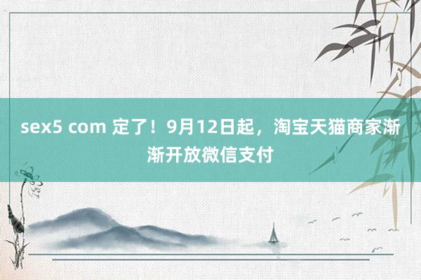 sex5 com 定了！9月12日起，淘宝天猫商家渐渐开放微信支付