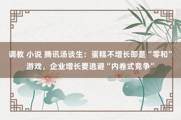 调教 小说 腾讯汤谈生：蛋糕不增长即是“零和”游戏，企业增长要逃避“内卷式竞争”