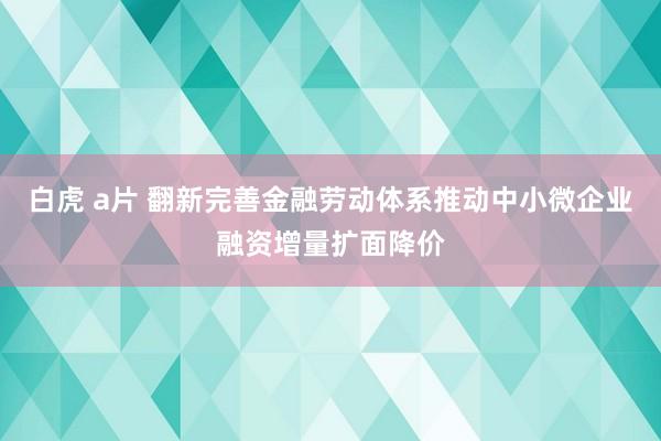 白虎 a片 翻新完善金融劳动体系推动中小微企业融资增量扩面降价