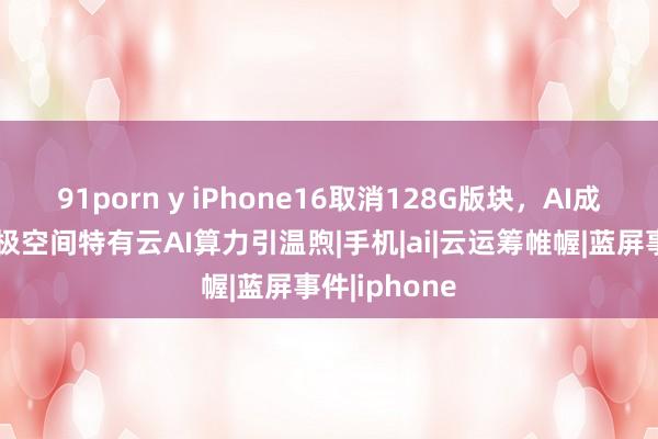 91porn y iPhone16取消128G版块，AI成最大亮点？极空间特有云AI算力引温煦|手机|ai|云运筹帷幄|蓝屏事件|iphone