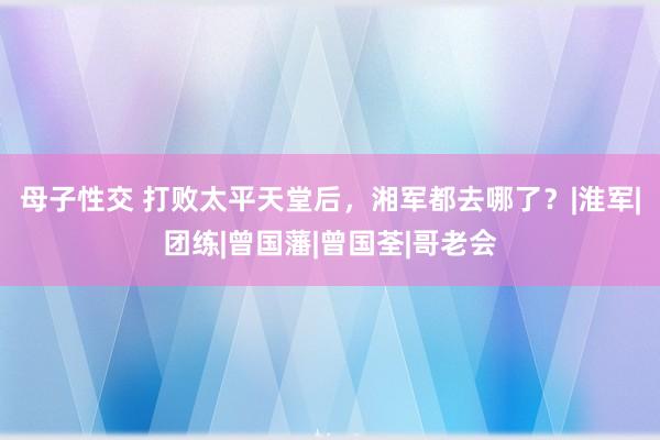 母子性交 打败太平天堂后，湘军都去哪了？|淮军|团练|曾国藩|曾国荃|哥老会